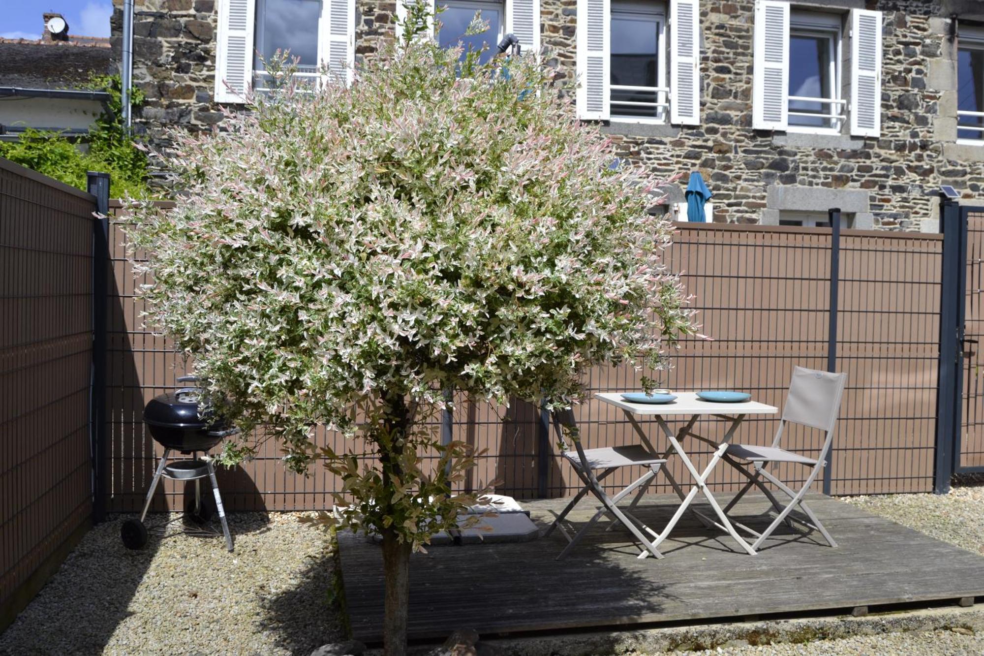 Charmante Petite Maison Proche Du Port, Maison 7 Binic Exteriör bild